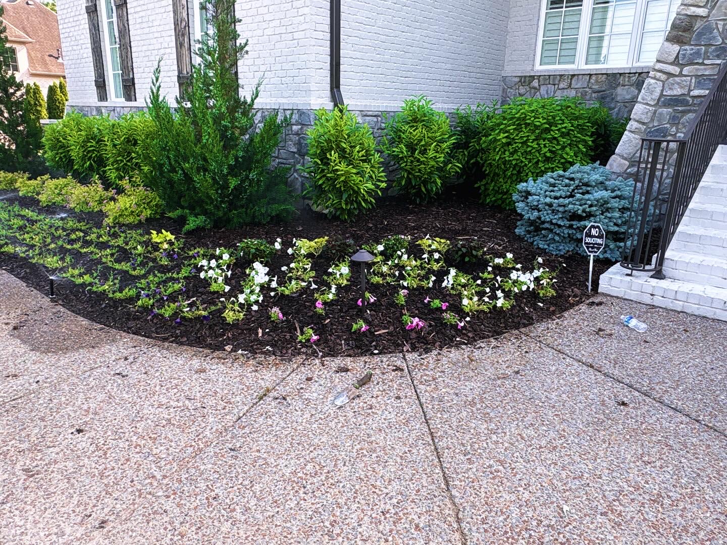 Brighten Your Landscape with Annual Color Installation in Gallatin Tennessee